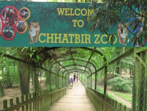 chhatbir zoo